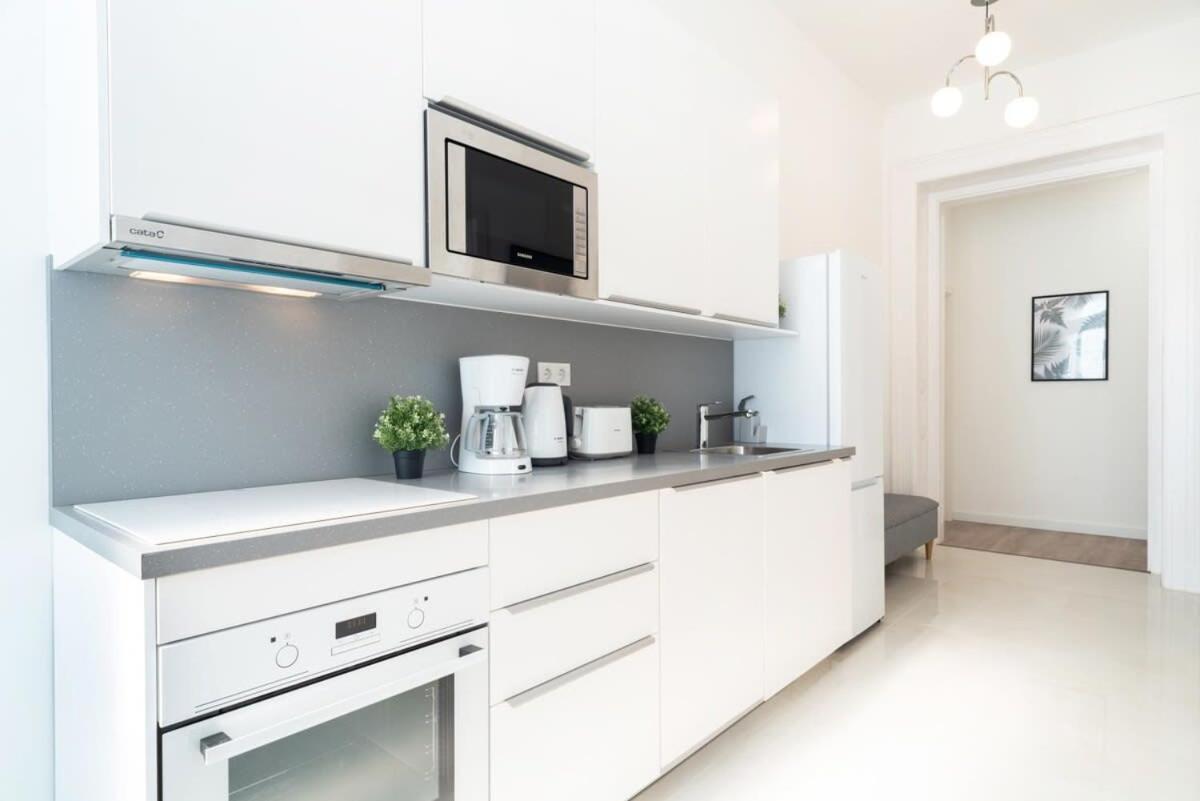 Large Apartment At Perfect Central Location Budapest Esterno foto